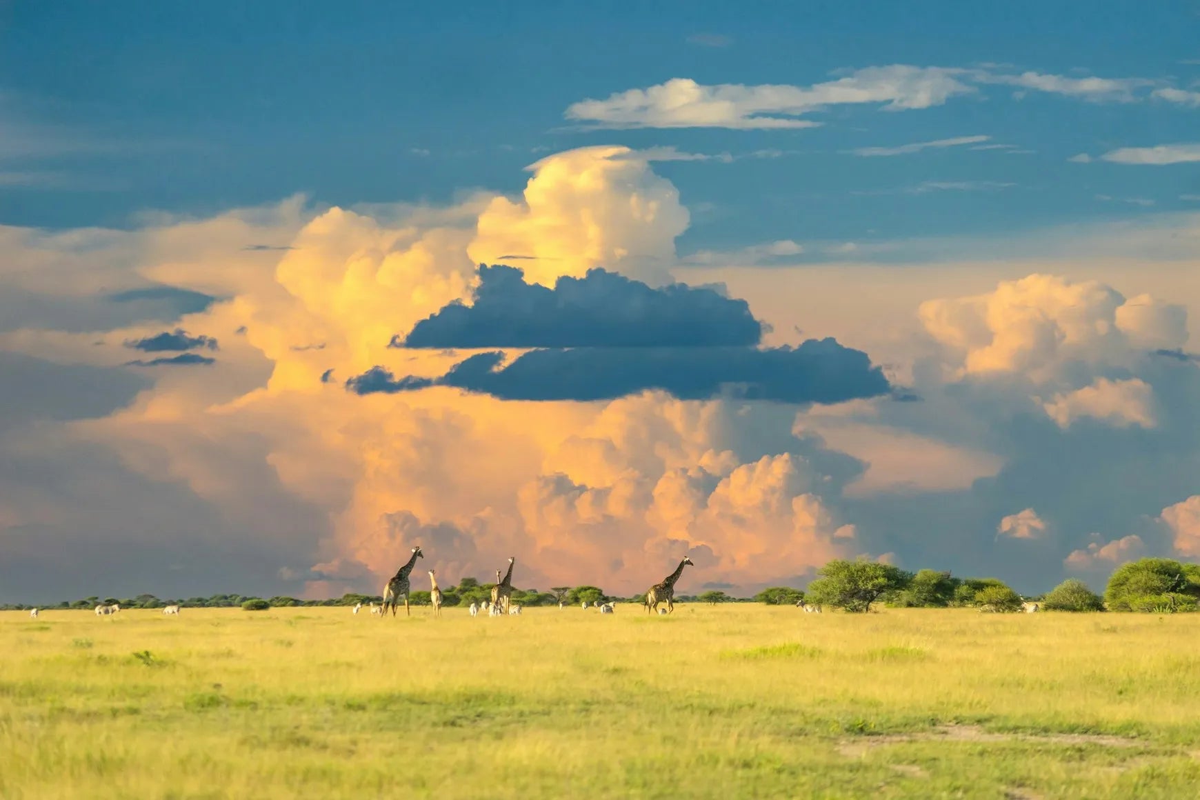 eSIM for Botswana