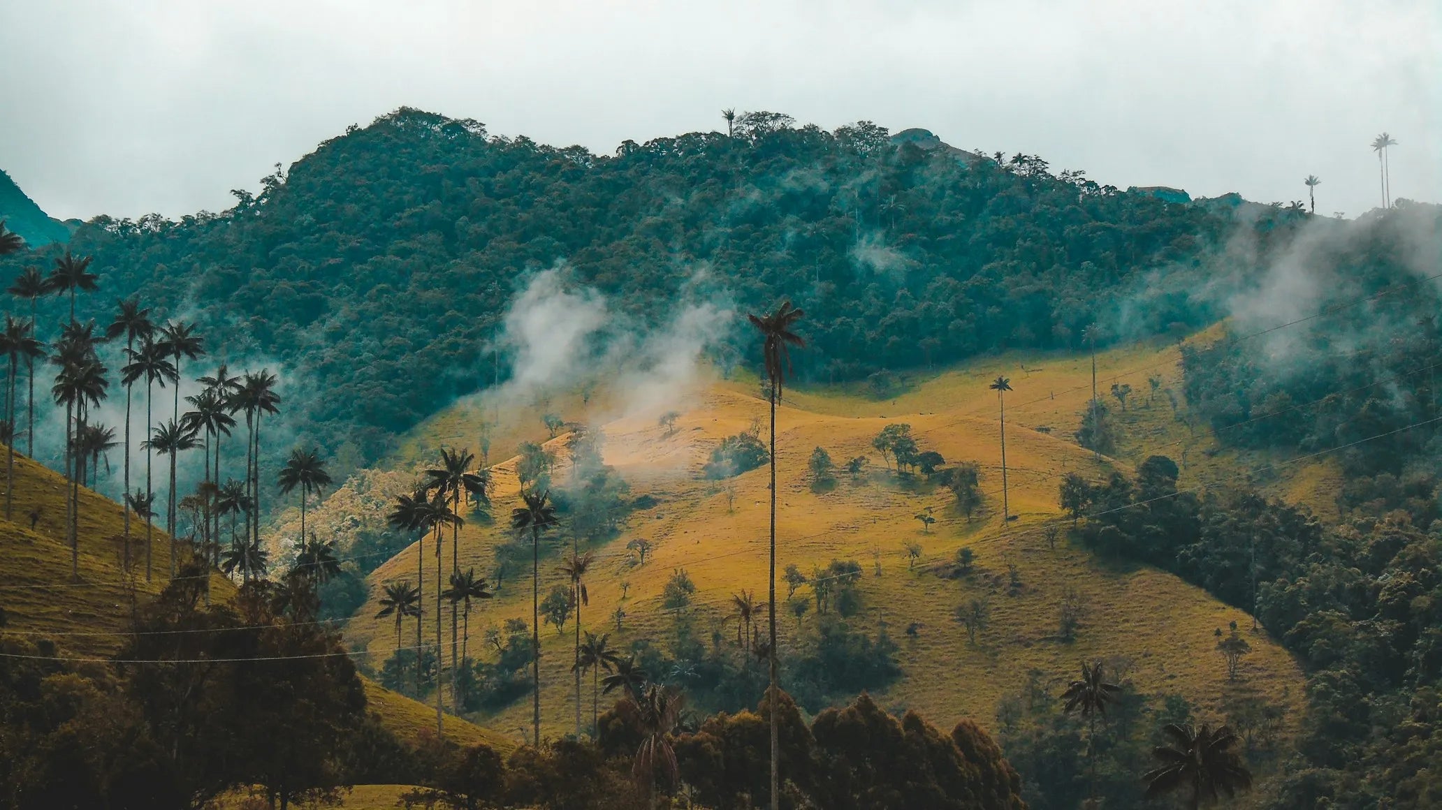 eSIM for Colombia