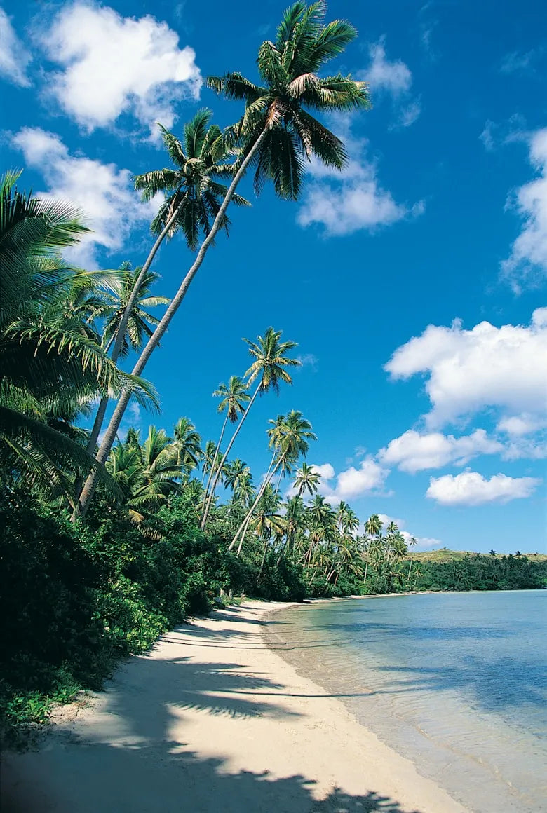 eSIM for Guadeloupe