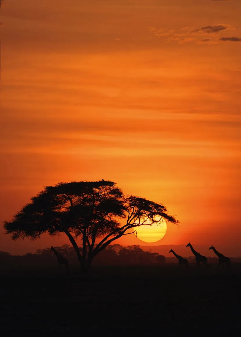 eSIM for Kenya